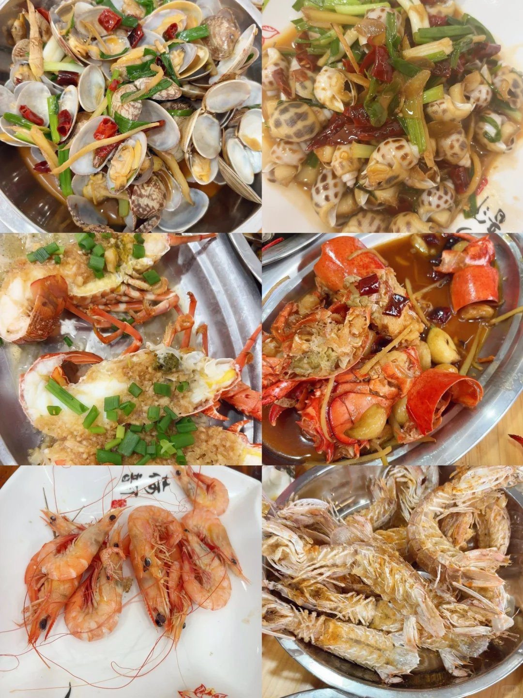 11.24海鲜报价‼️北海便民市场【便民海鲜】