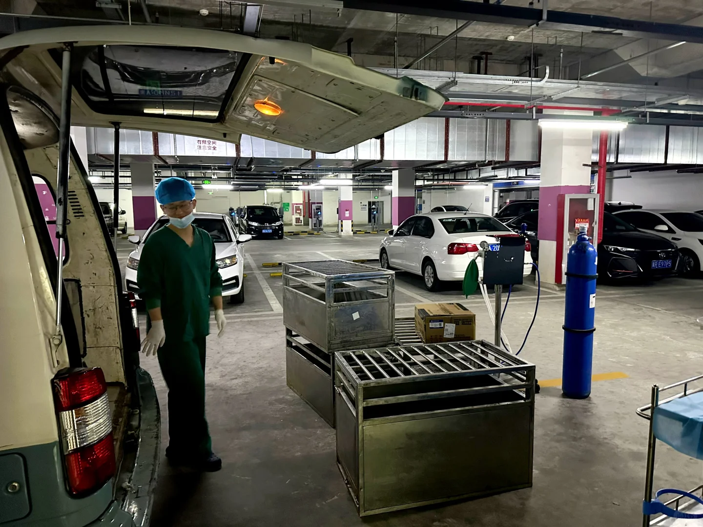 今天带着它们“出差”