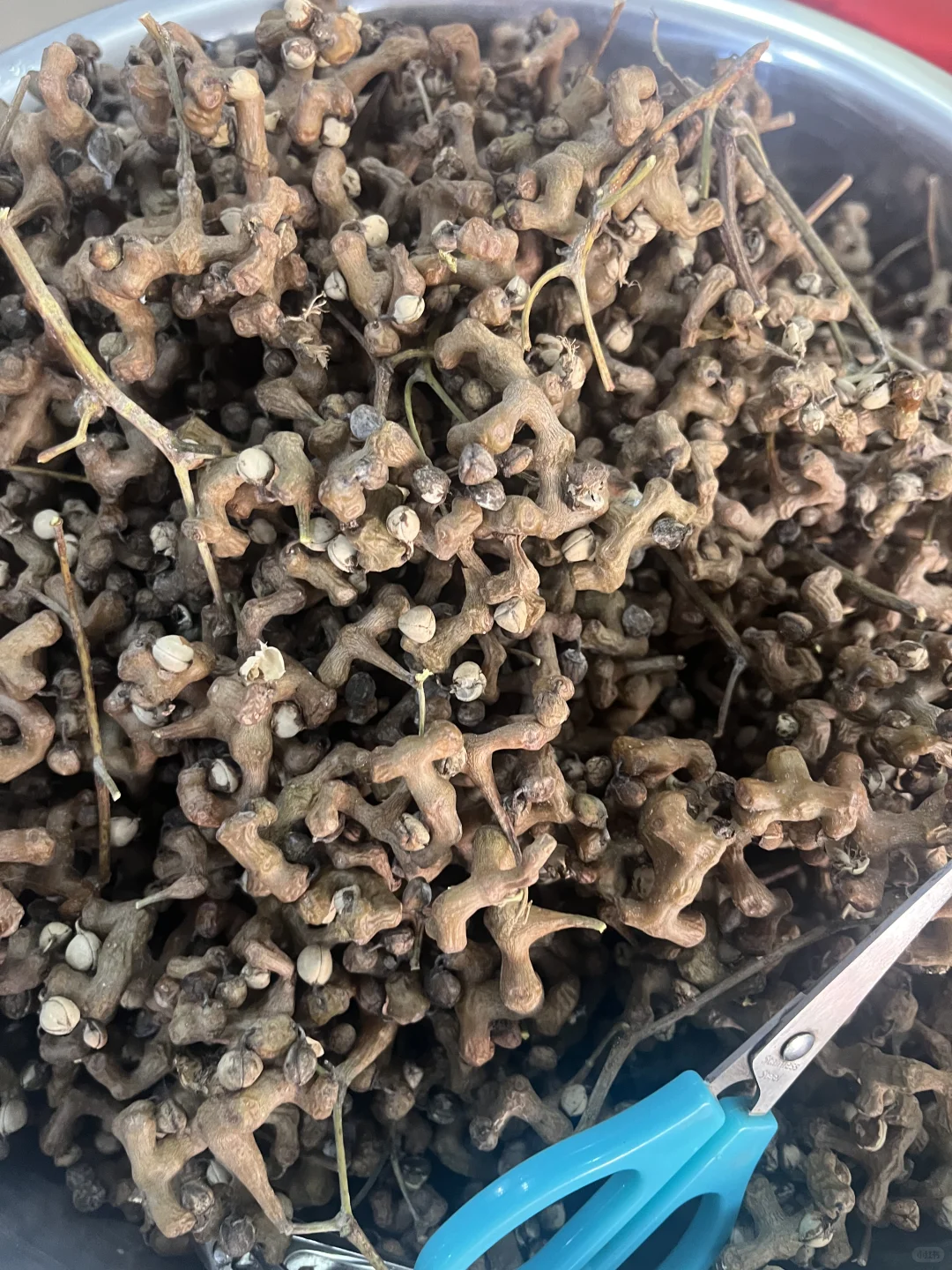 大量收拐枣大量收本地拐枣