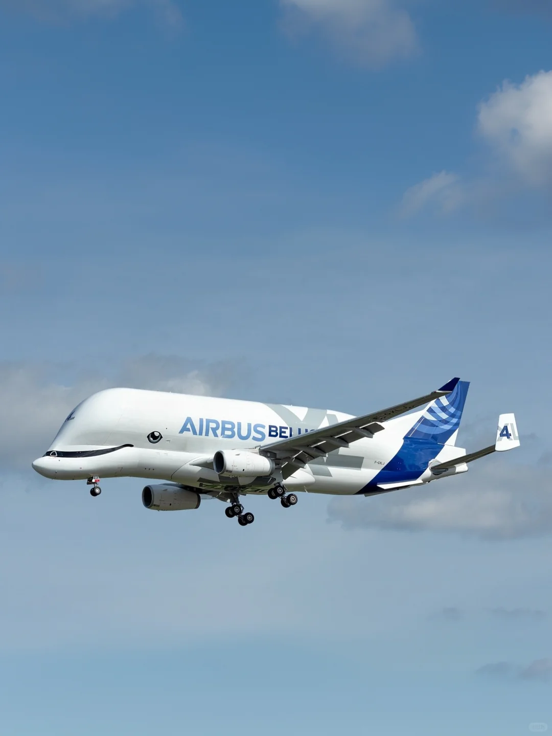 空客公司的6架超级“大白鲸”