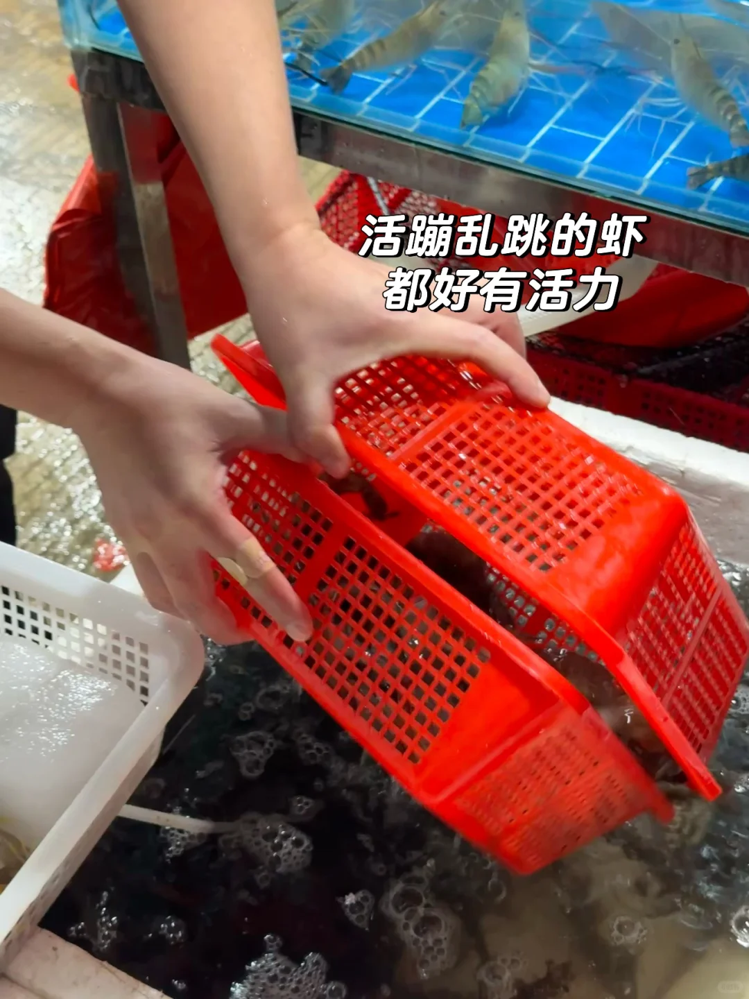 宁德新能源!居然藏着一个宝藏海鲜批发市场