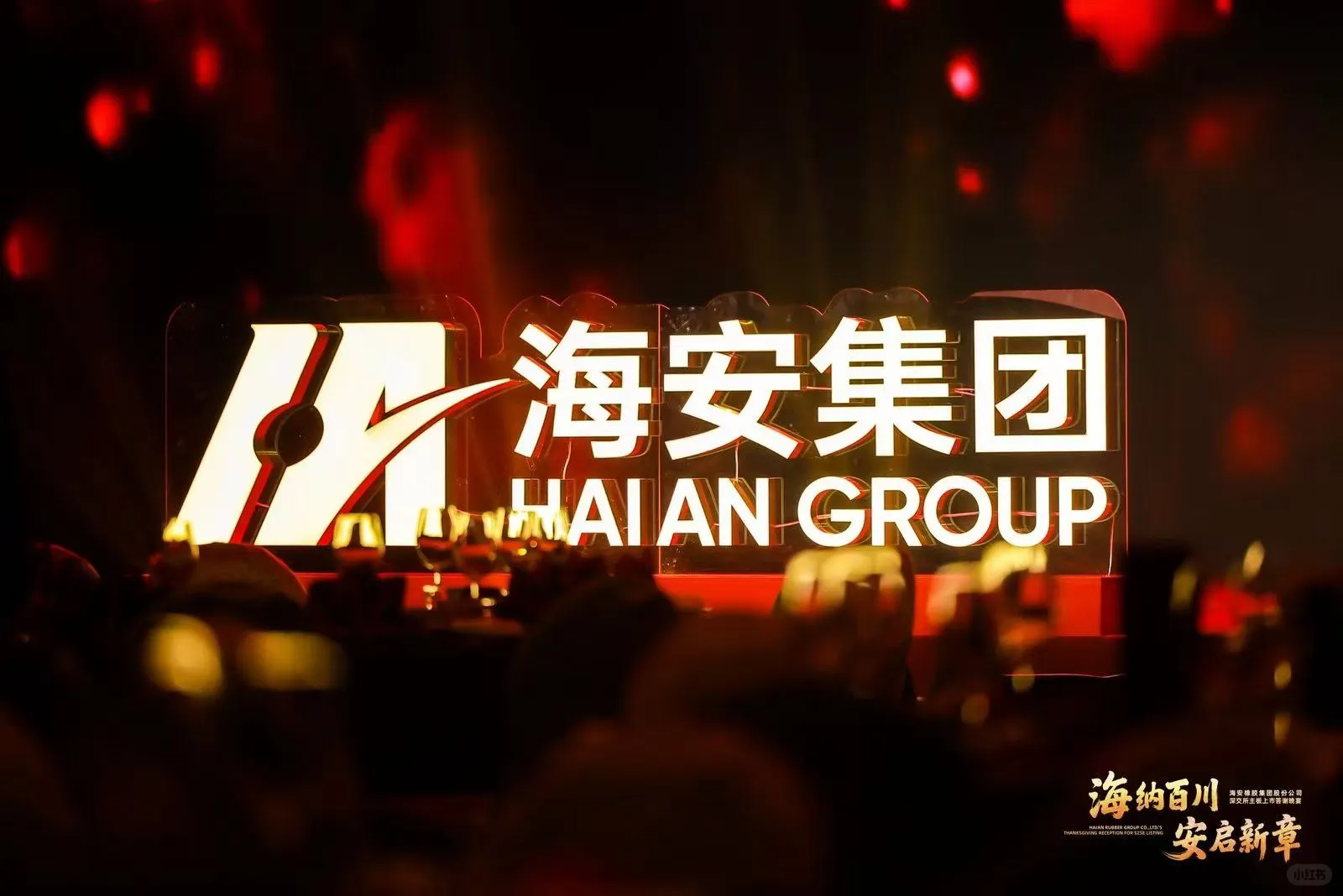 海安集团上市答谢晚宴圆满结束