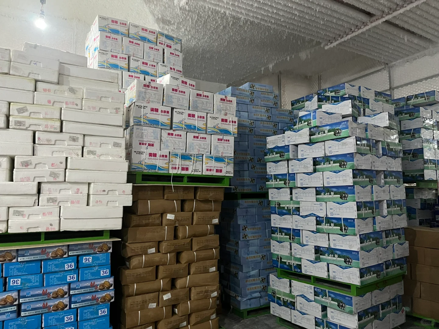 专业的人做专业的事