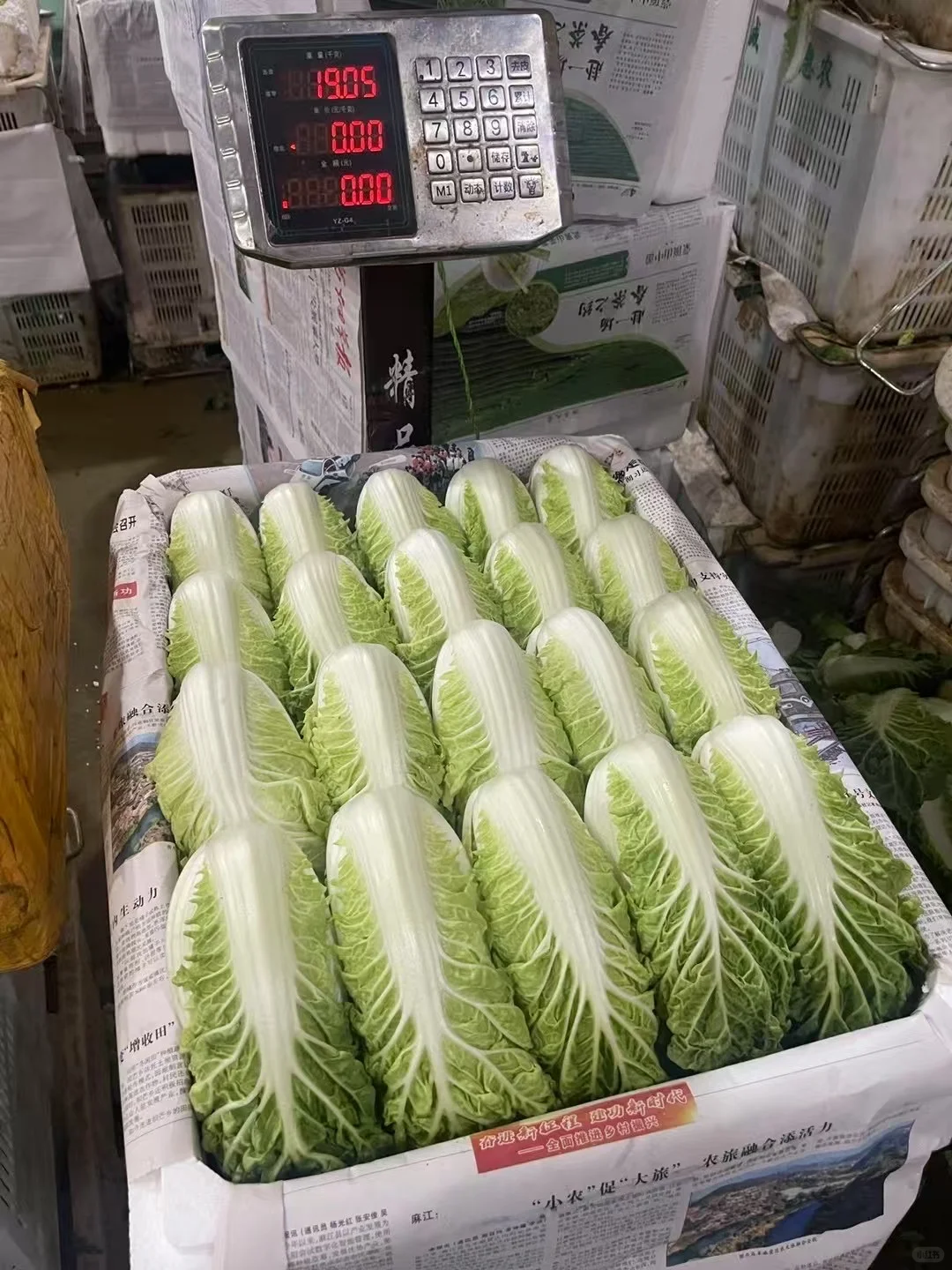 蔬菜批发 #食堂供应商 #同城配送 #餐饮供应