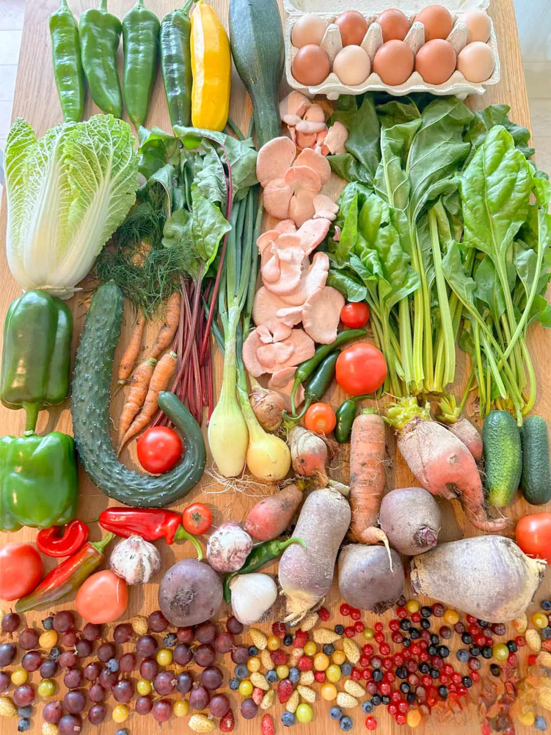 这个收成，在种菜界是什么水平？