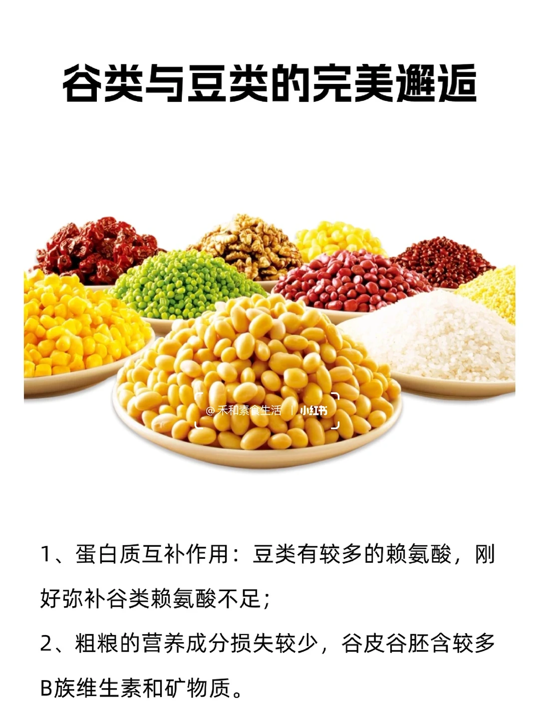 餐桌主食的完美邂逅：谷+豆（素食必看）