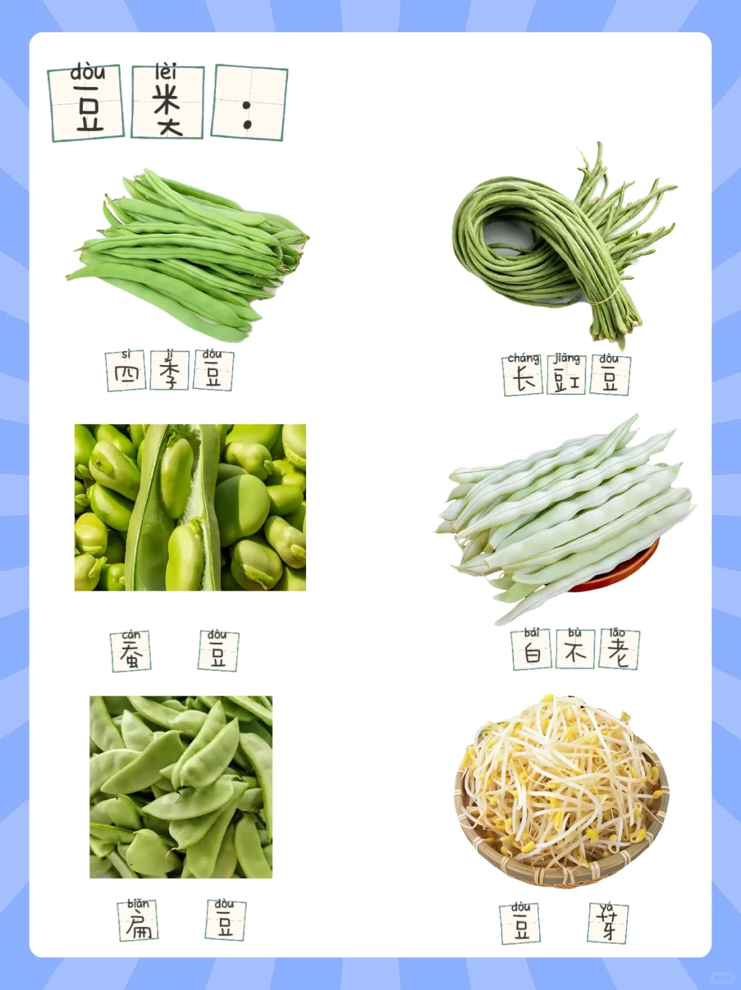 幼儿知识科普之认识蔬菜（含拼音）