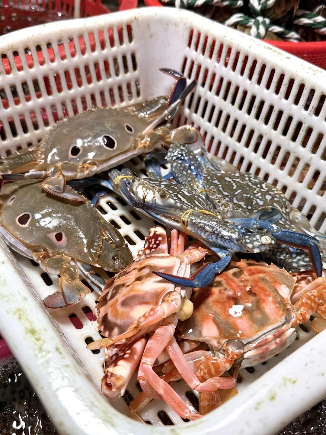 三亚第二市场海鲜测评!!!