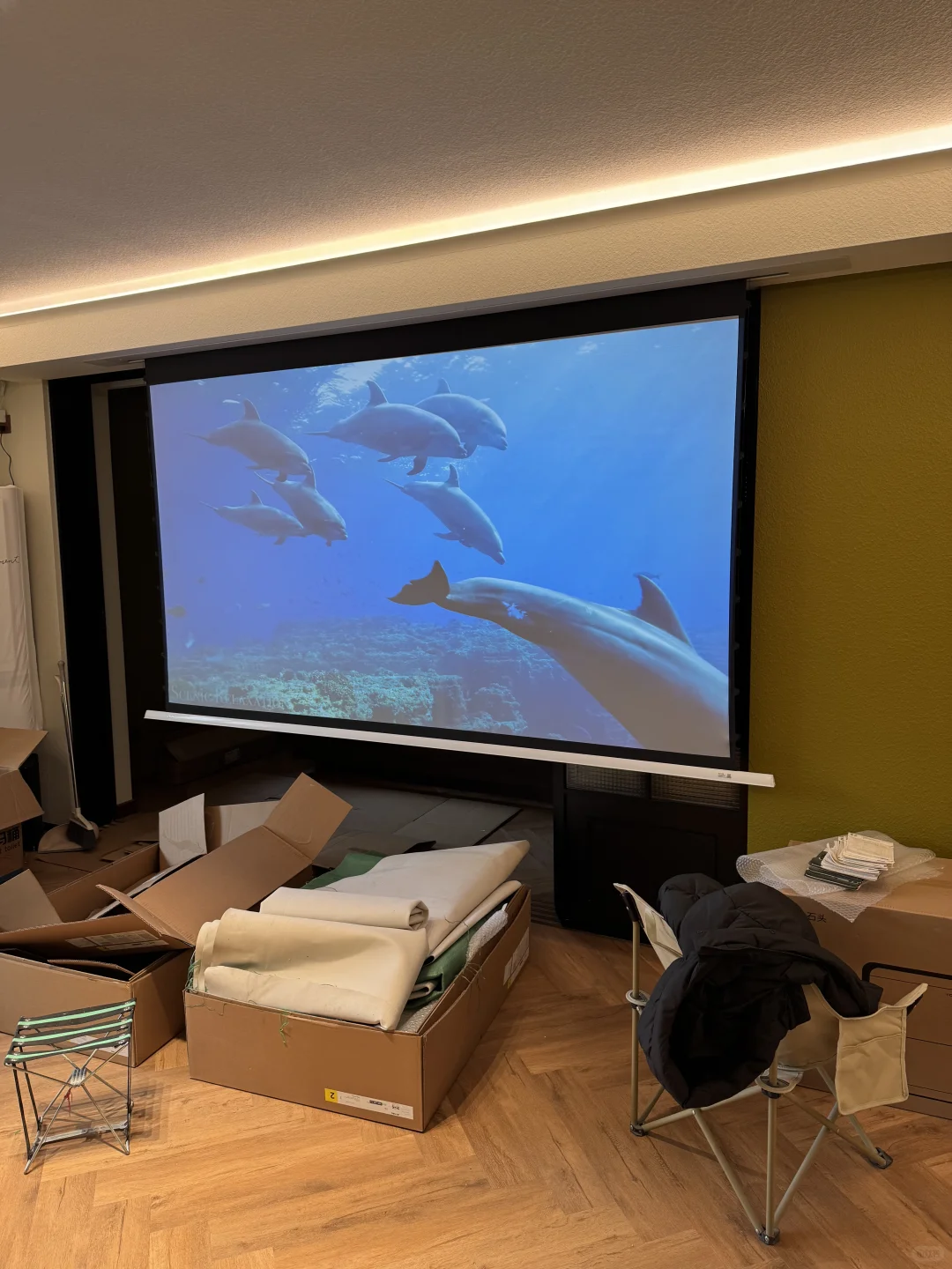 我的投影仪在发光耶～～～