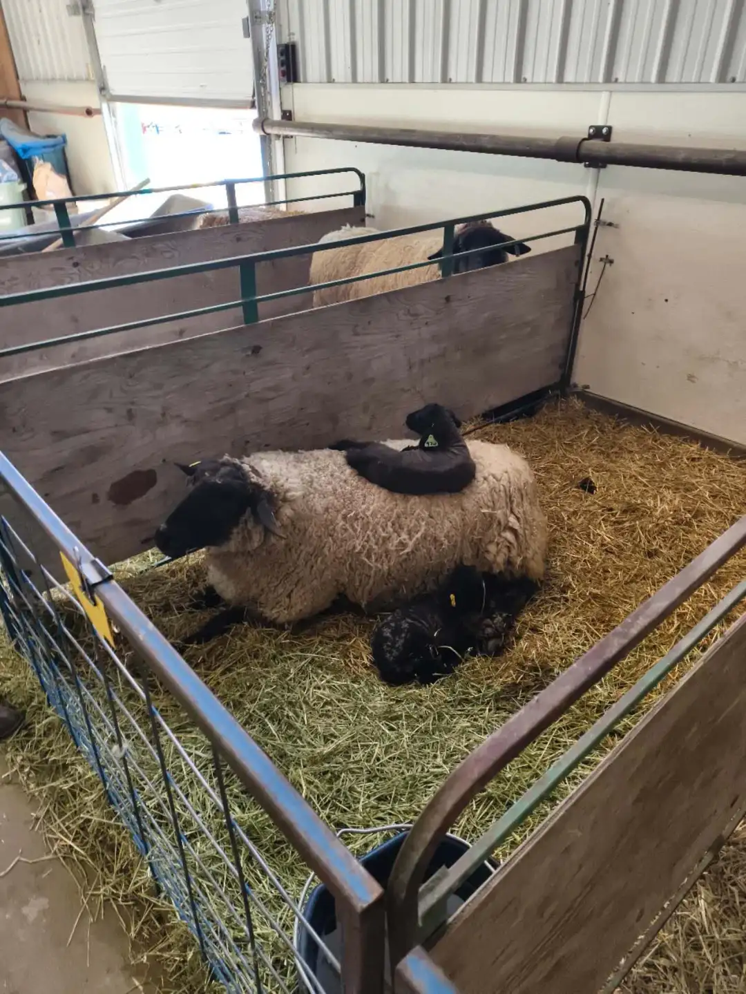 Olds College智能农场： 农业的未来！