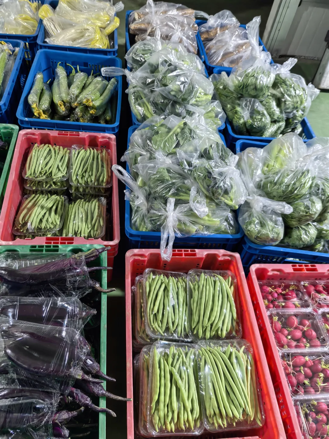 新鲜不缺席｜健康不将就｜配送月结