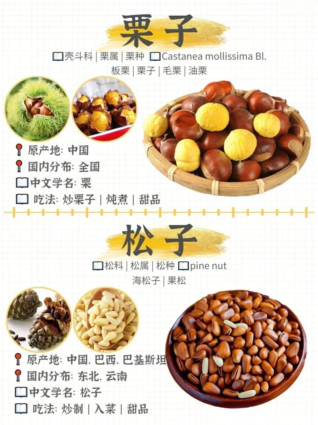 哪种坚果最好吃！坚果图鉴