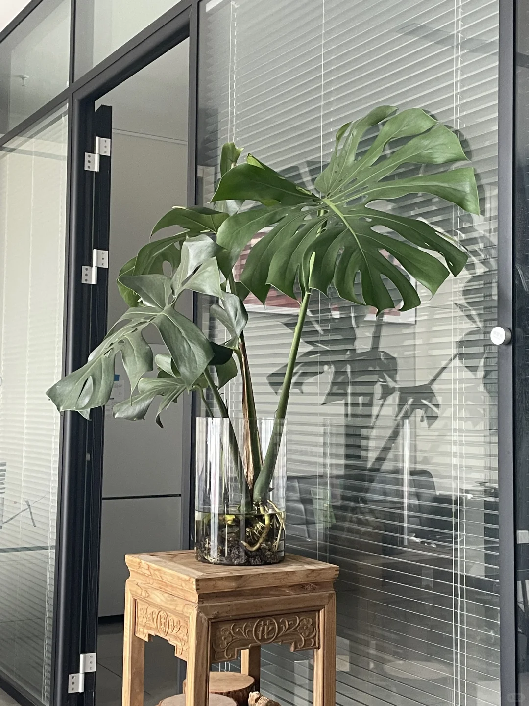 00后老板+20年老厂!外贸岗招能搞钱的你✨