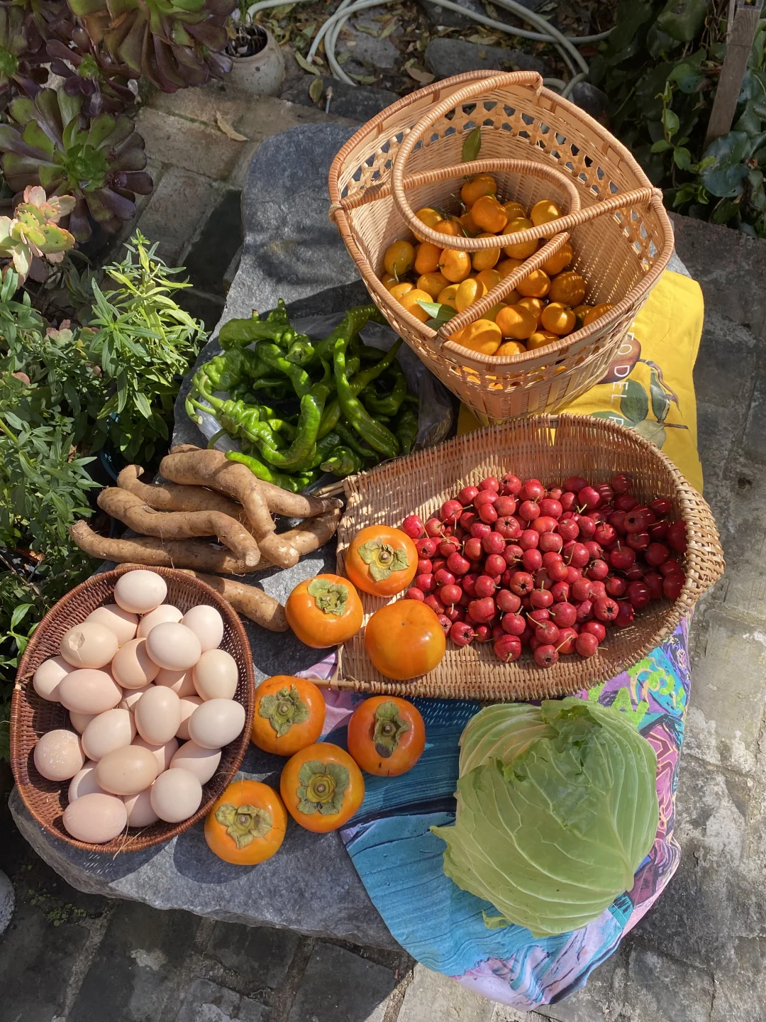 乡村市集逛不够?