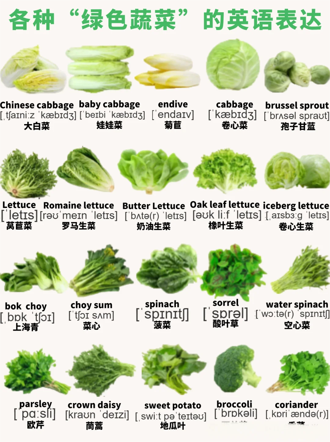 亲子英语｜绿色蔬菜词汇和高频亲子英语对话