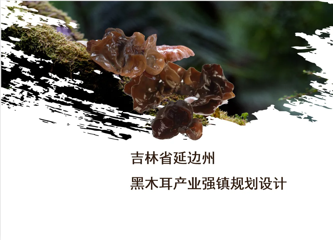 吉林省延边州黑木耳产业强镇规划设计