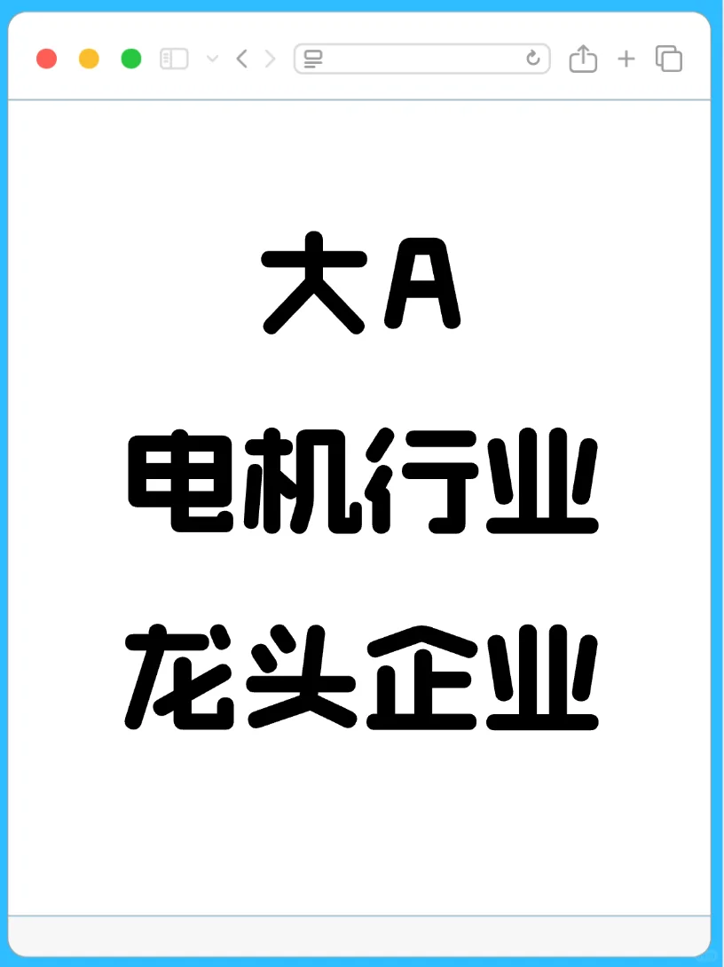 大A电机行业龙头