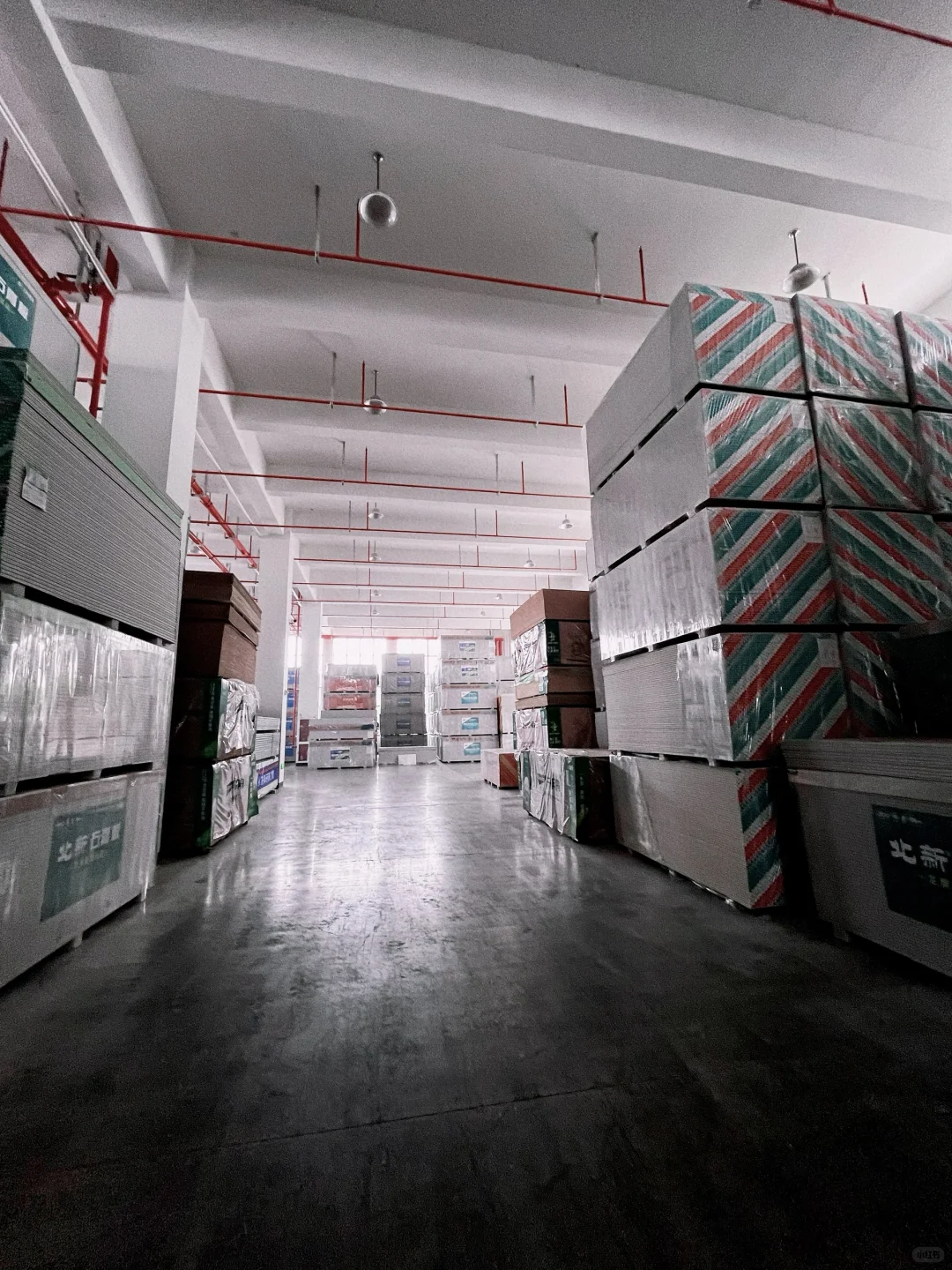 龙的传人选龙牌呀