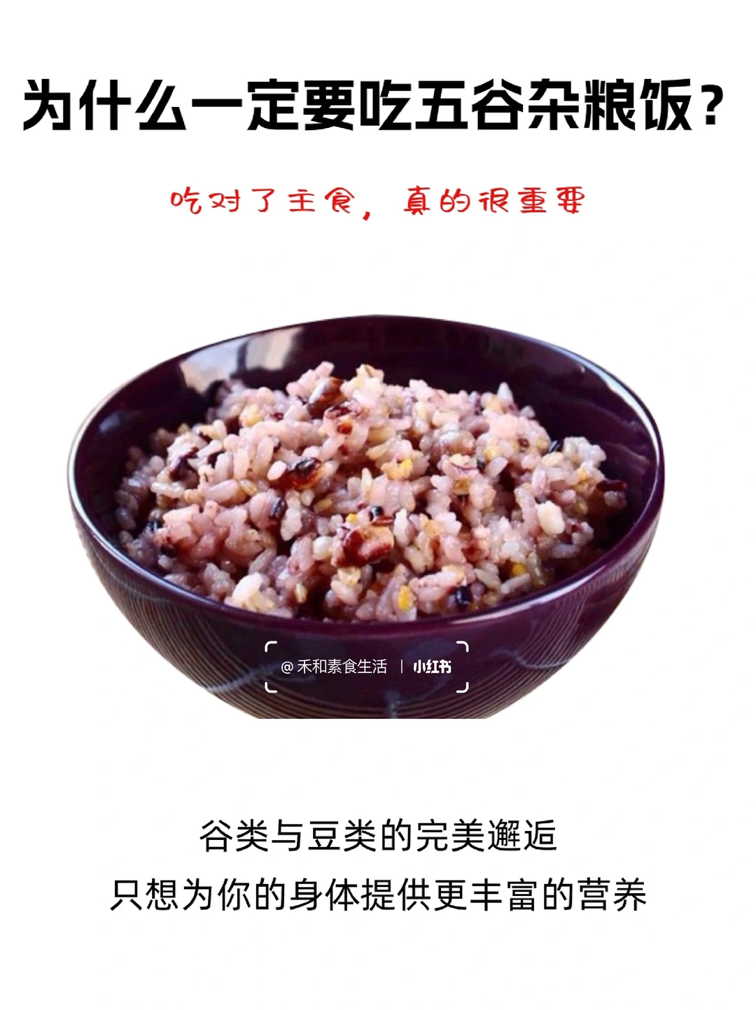 餐桌主食的完美邂逅：谷+豆（素食必看）