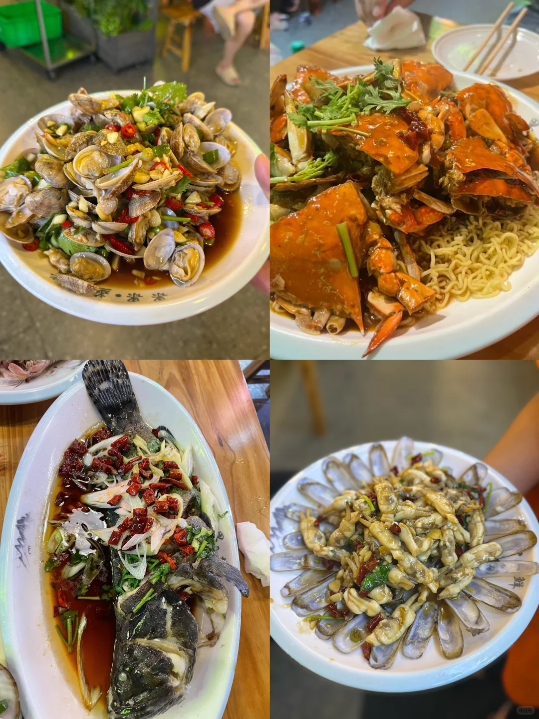 青岛淡季海鲜价格！海鲜加工本地人带你避雷✅