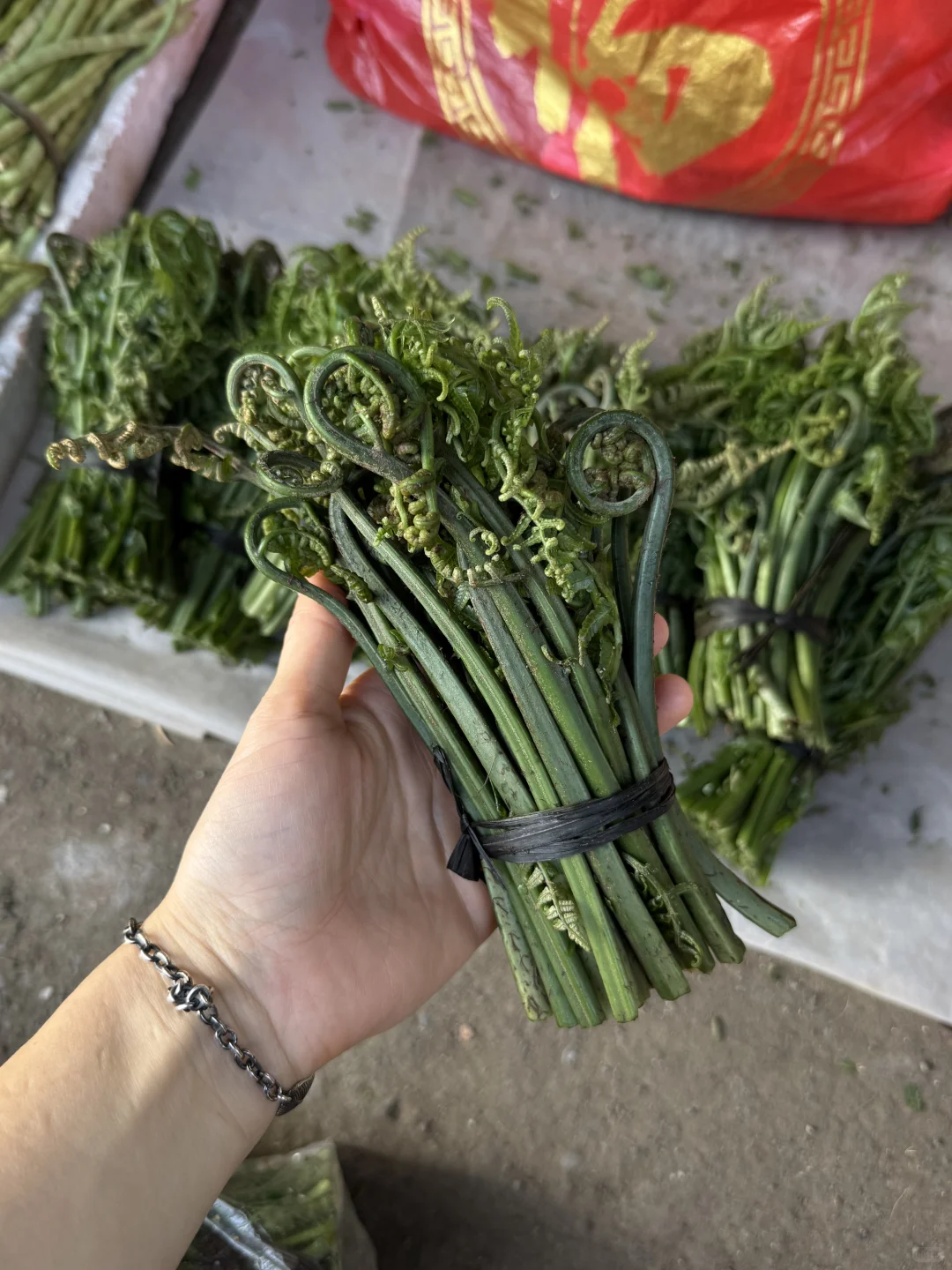 “靠山吃山：大山里这个季节吃啥…..”