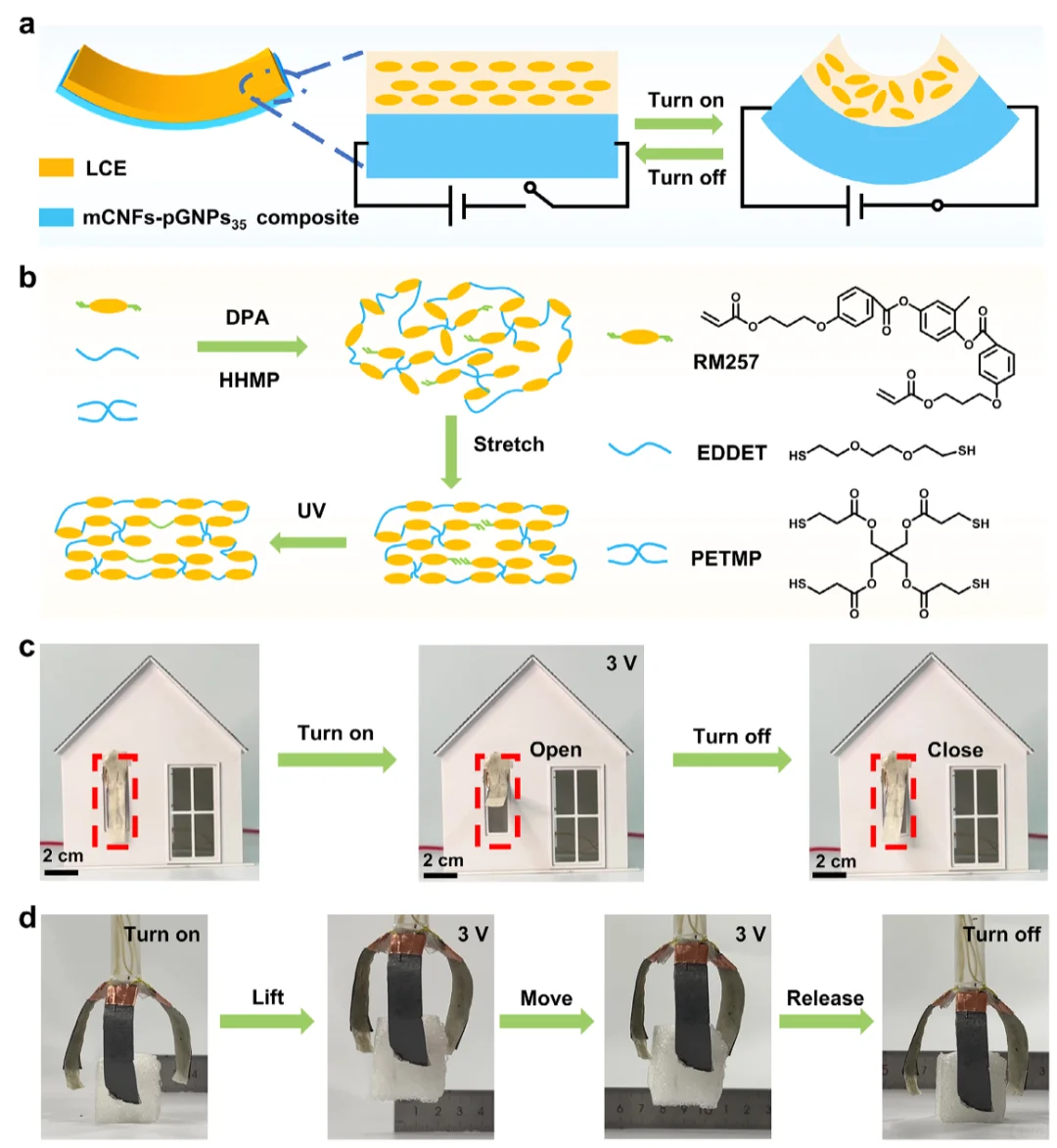 Adv Mater：纤维素纳米纤维基复合材料