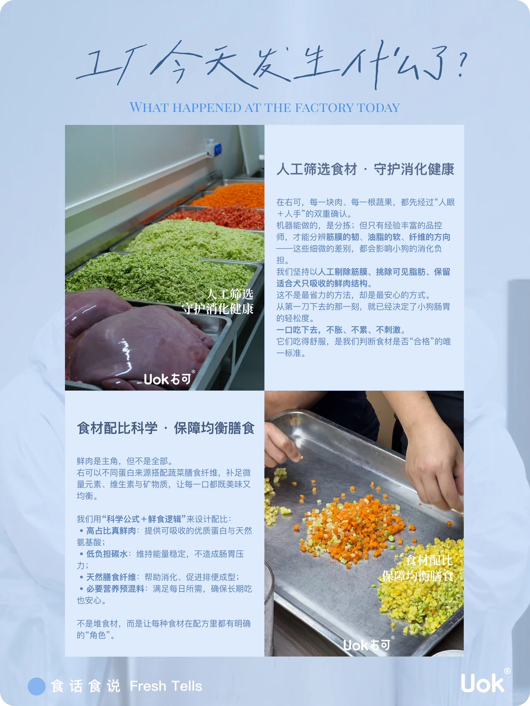 UOK右可|从一块空地开始,造一座鲜食工厂