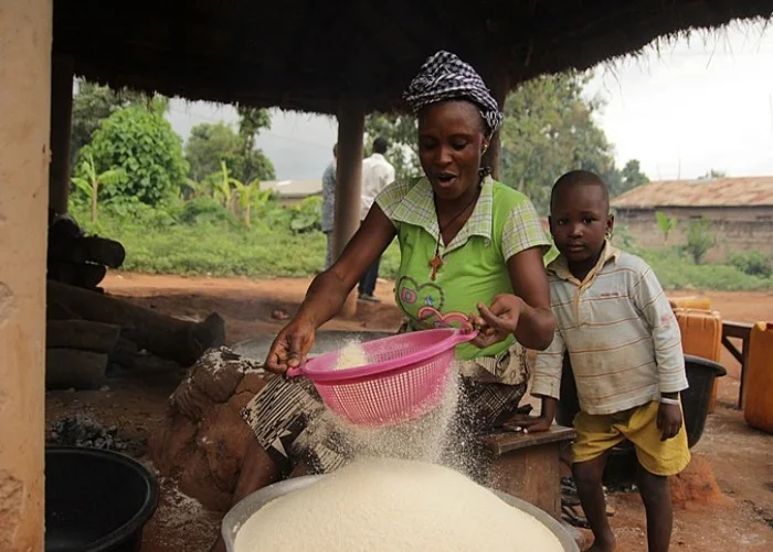 投资木薯粉加工厂项目需要用到哪些设备？