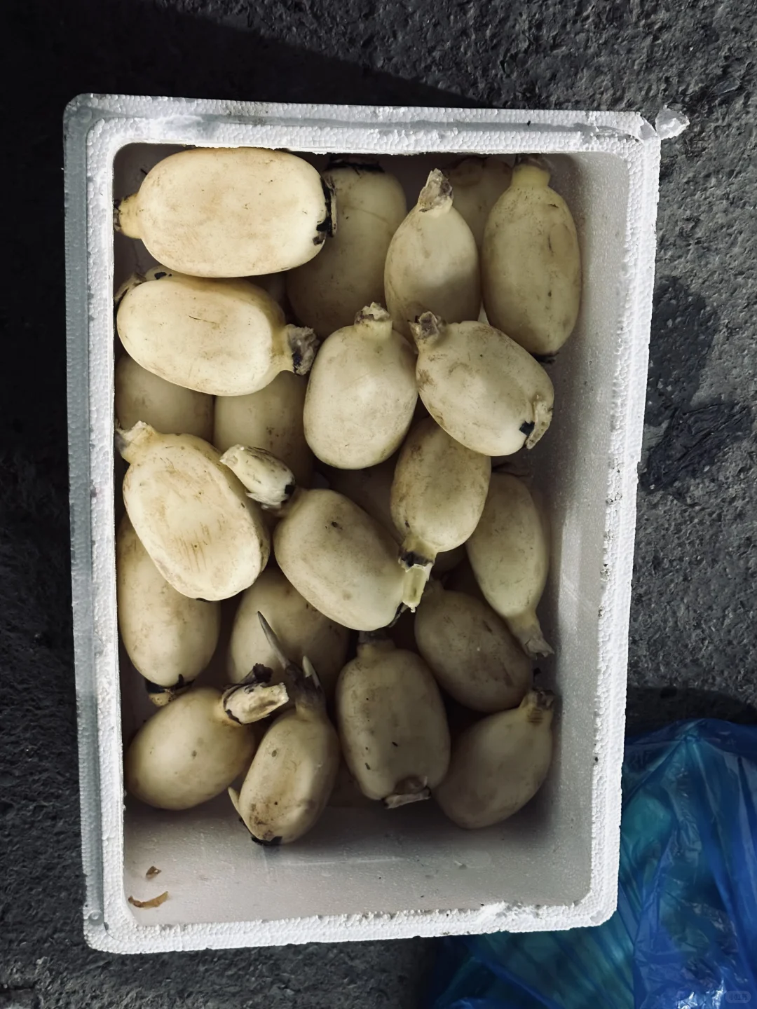 餐厅业的老板，厨师长点进来！?#生鲜供应商