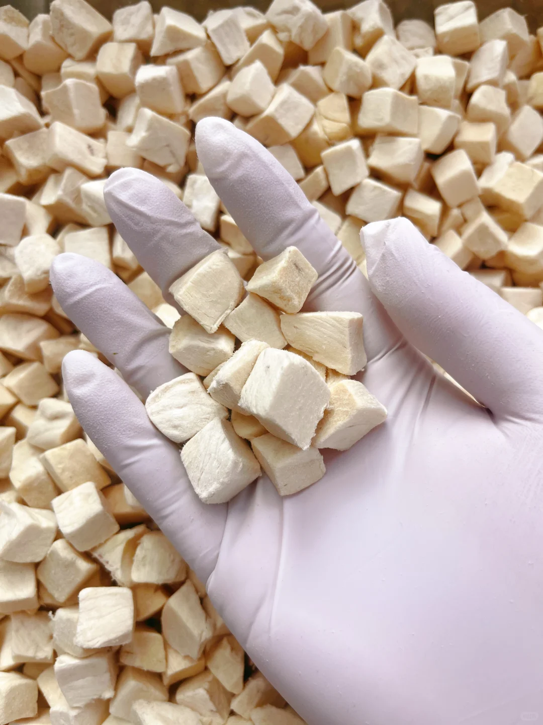 宠物冻干源头工厂，大量现货，有量有价～～