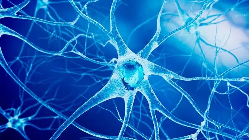 新名石墨烯电地暖