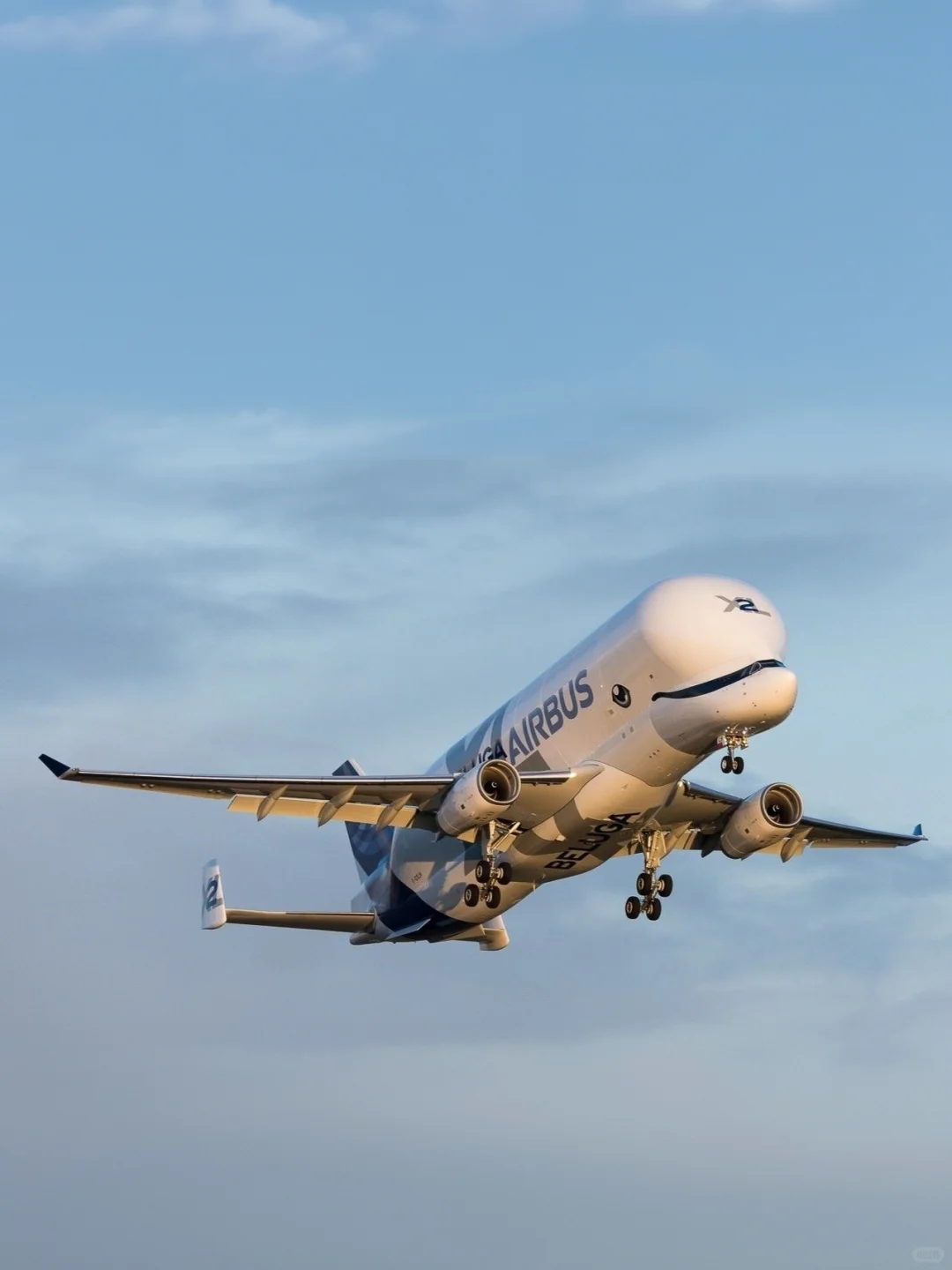 空客公司的6架超级“大白鲸”