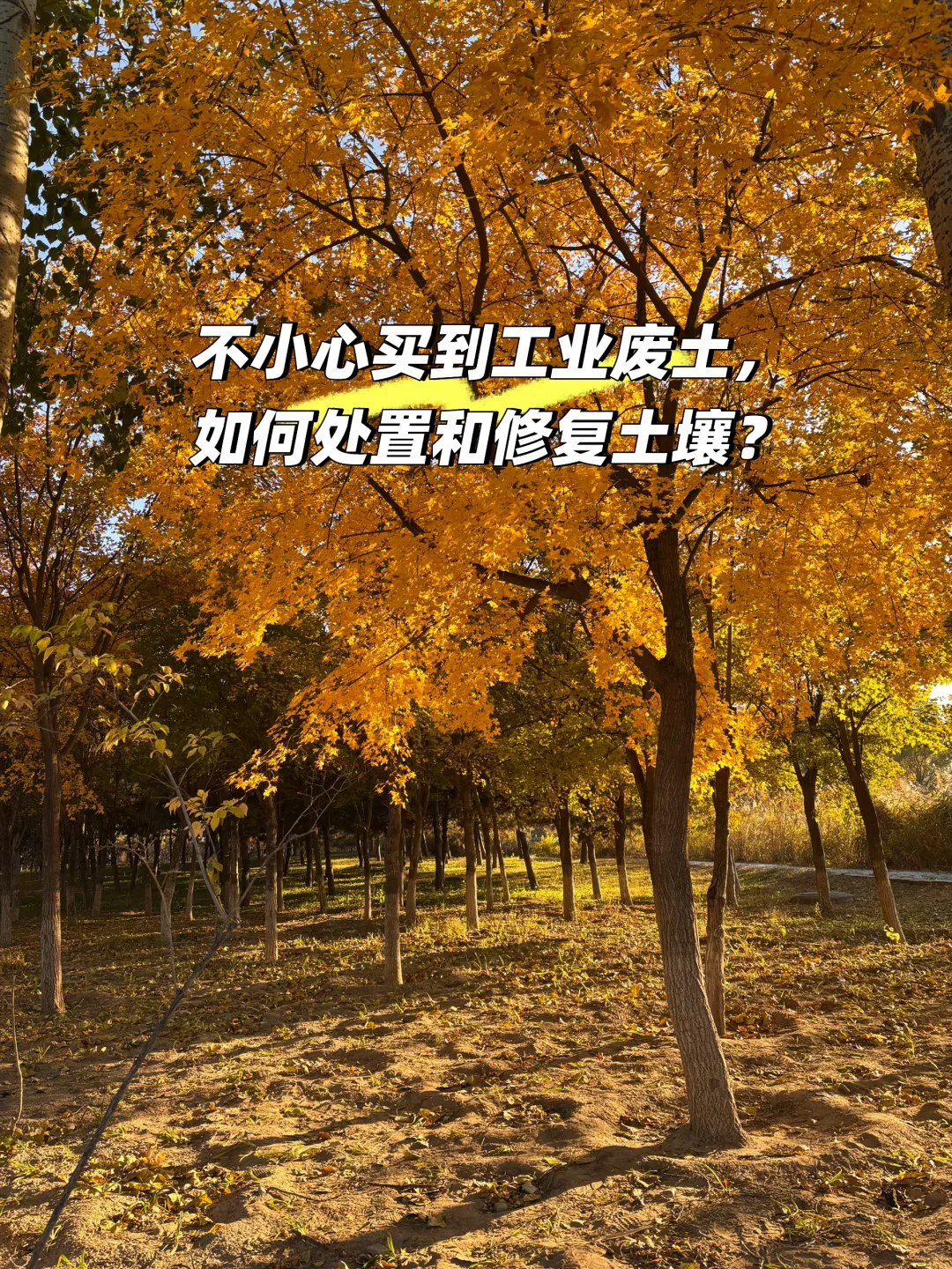 工业废土污染修复指南