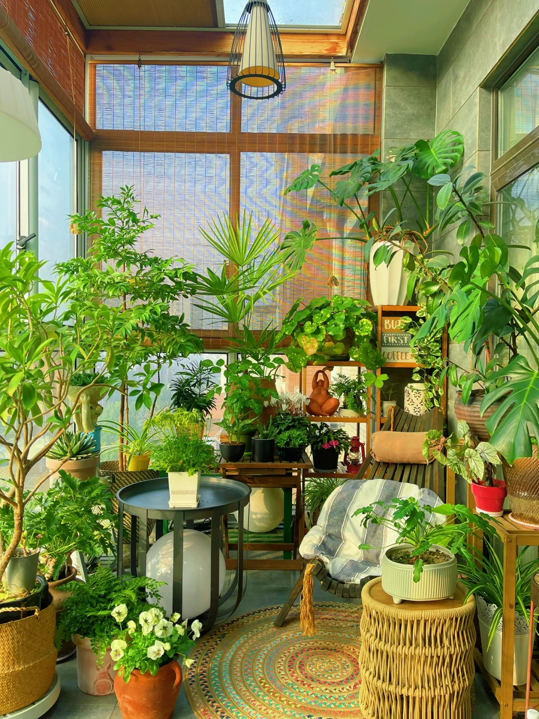 我的2023阳台小森林布置18图｜供参考