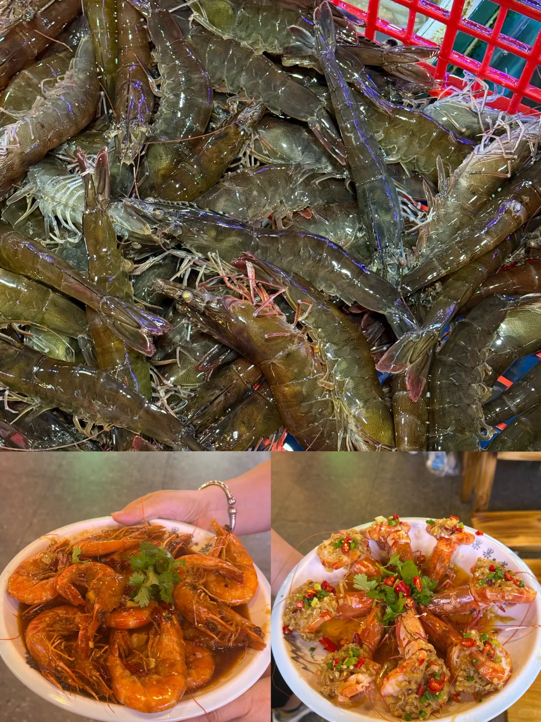 青岛淡季海鲜价格！海鲜加工本地人带你避雷✅