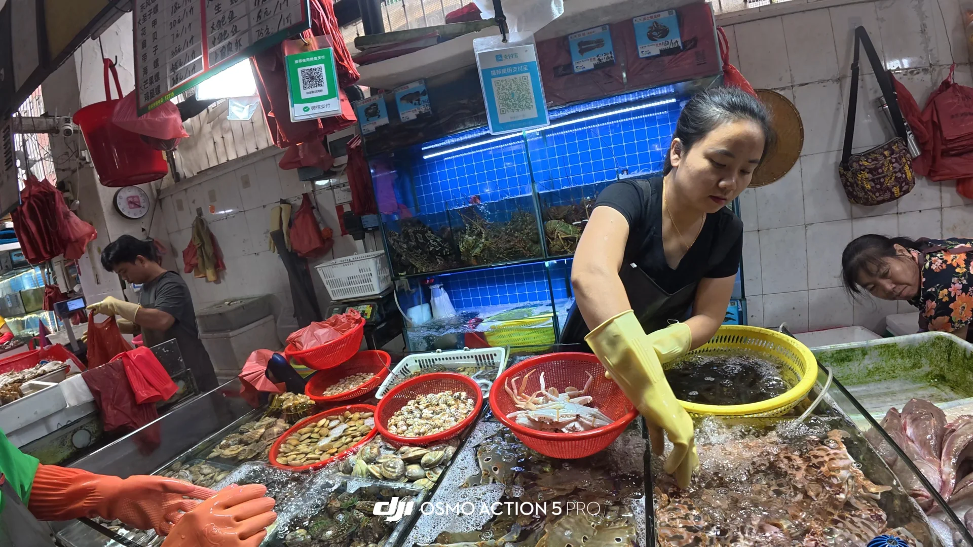 三亚海鲜市场+陈姐加工