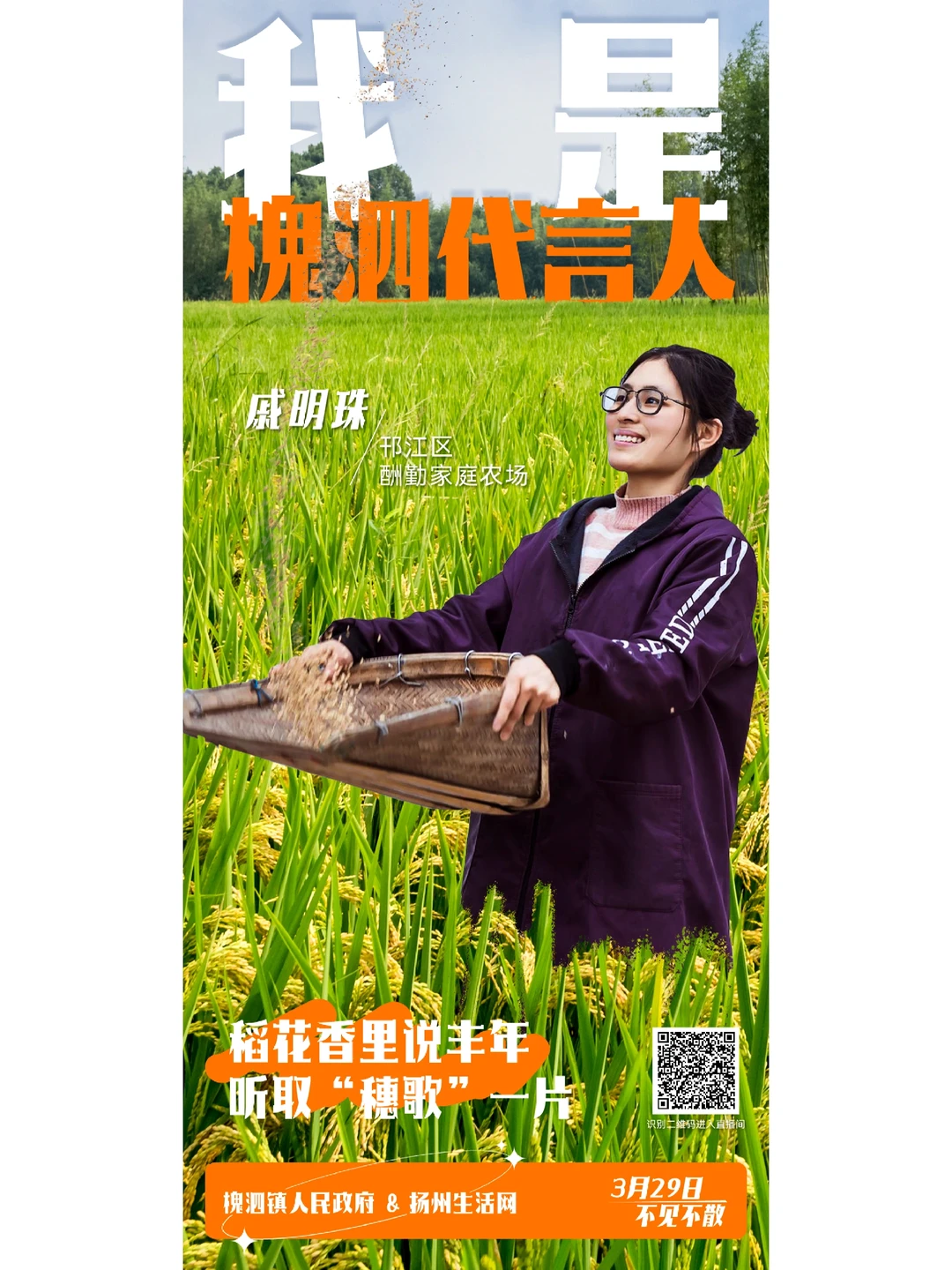 乡村振兴助农直播计划海报设计