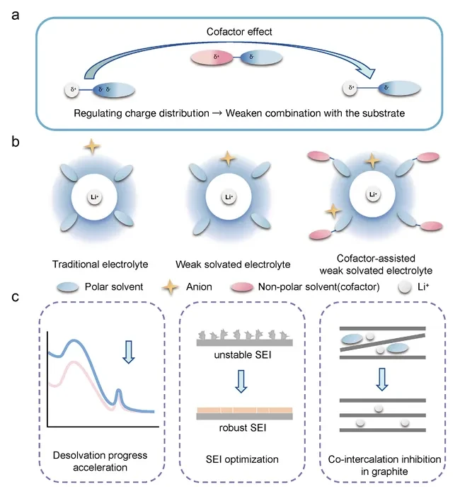 辅因弱溶液❄️石墨低温快充稳了