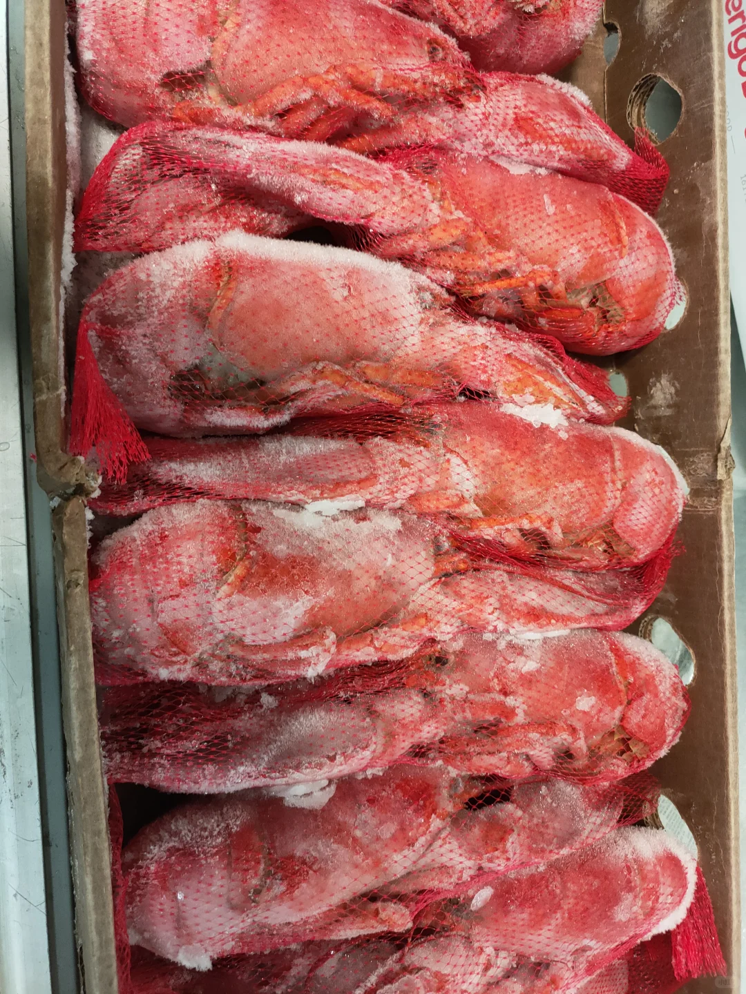 法国新禧利公司冻品+干货+生鲜食品供货商