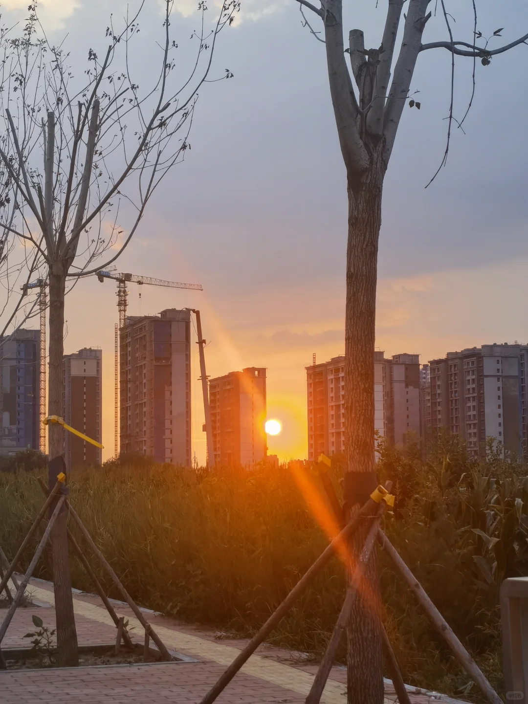 食品源头工厂，专供海外各大商超，餐厅