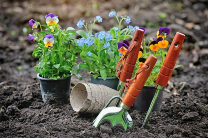 食物残渣变肥料