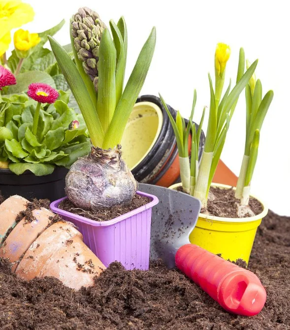 食物残渣变肥料