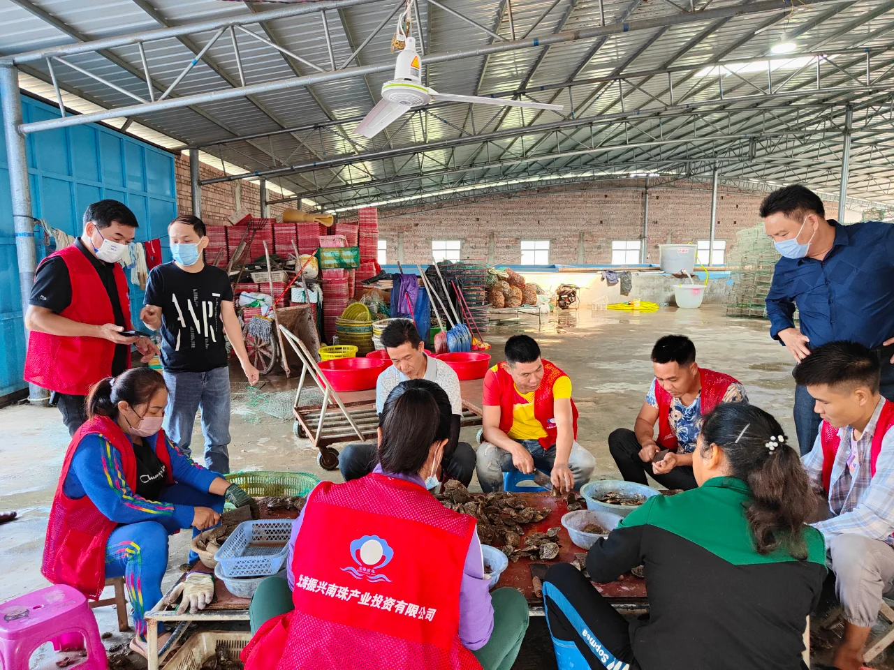 真的有国企在做珍珠产业???