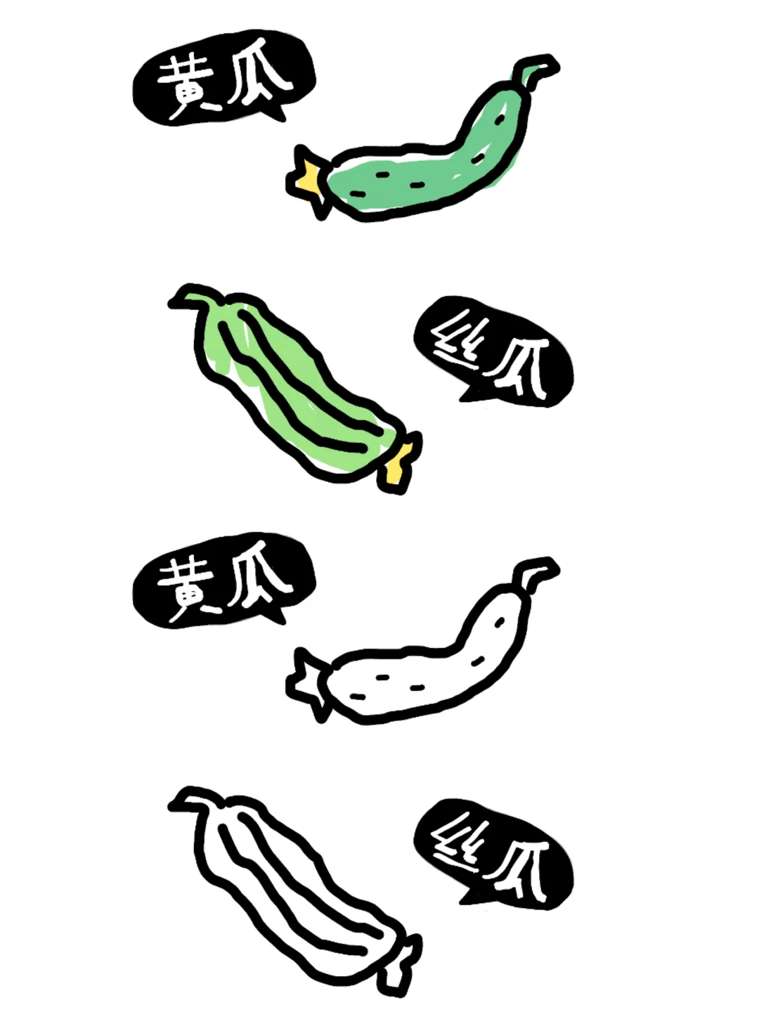 植物角：蔬菜的种类