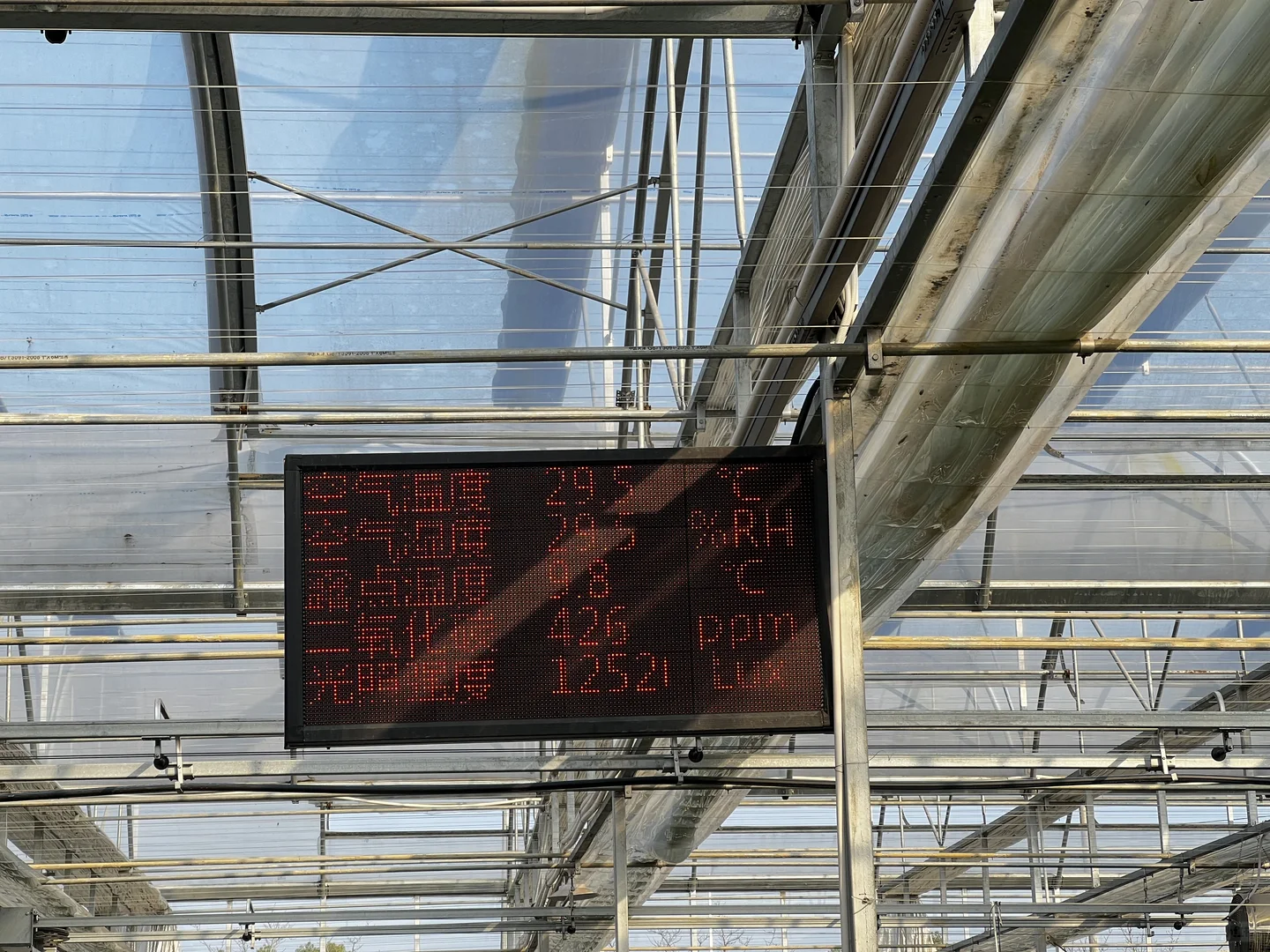 厉害了，“谢径安”！