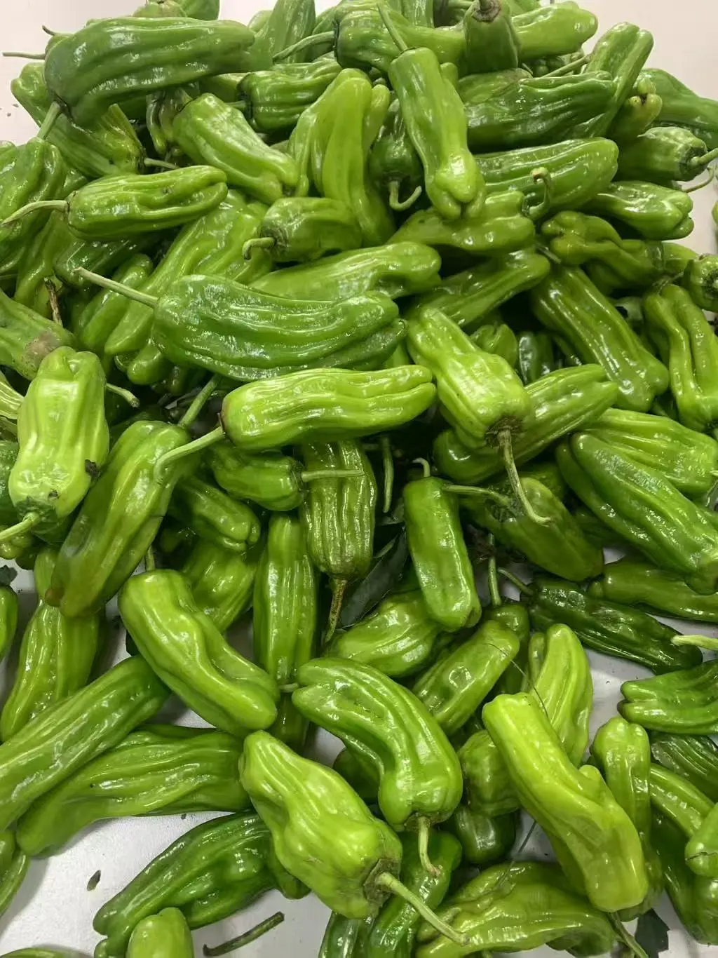 一年一度的助农，开始了～