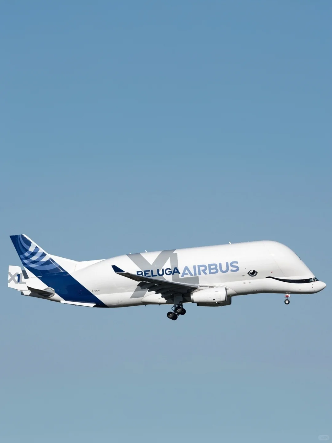 空客公司的6架超级“大白鲸”