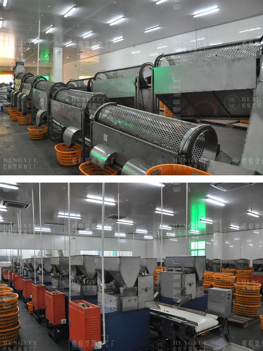 坚果加工生产日常,工厂直销批发坚果供货商