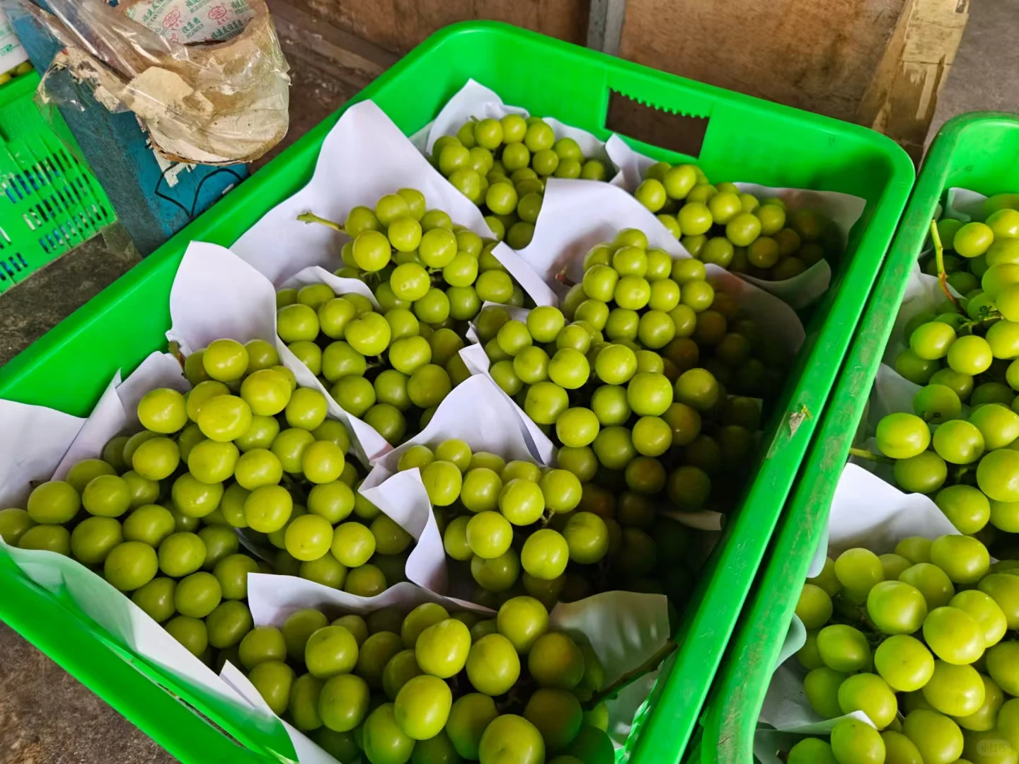 全成都生鲜配送: 学校、食堂、生鲜店、餐饮