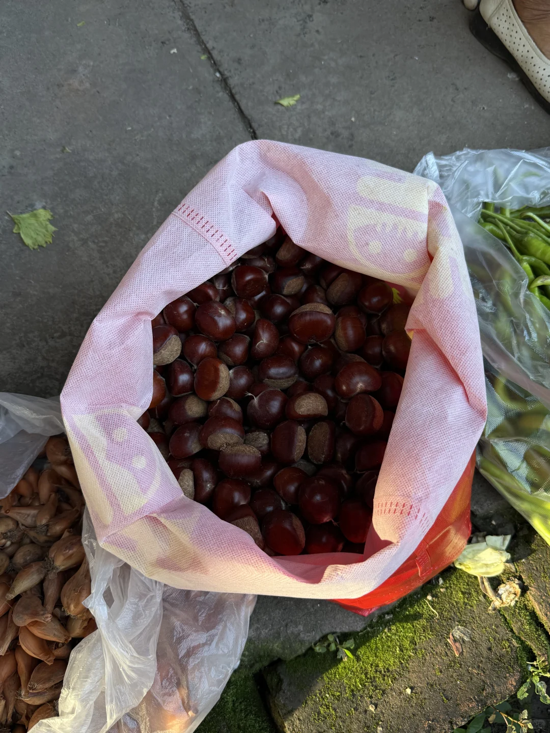 “靠山吃山：大山里这个季节吃啥…..”